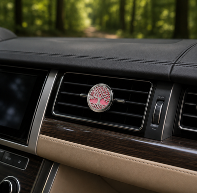 Car Diffuser